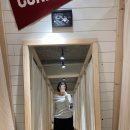 내 방앗간이 된 브랜디멜빌