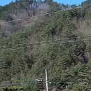 산골마을 영농조합법인 이미지