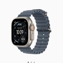 새신한노동조합 | 애플워치울트라3 트레일루프 애플 공홈에서 무이자할부 24개월 구매 후기