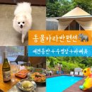 필당구장 | 가평 글램핑 동물카라반펜션, 아침고요수목원 애견동반 가능한 숙소