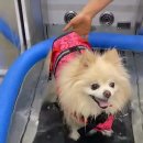 사과나무한방병원 이미지