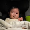 푸드익스체인지 | 돌준맘 호텔 돌잔치 드래곤시티 푸드익스체인지 계약 후기