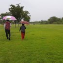 한강파크장 이미지