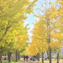 여주-1093 이미지