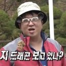 도니도니 이미지
