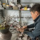 이광수농장 이미지