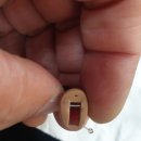 나라보청기상사 이미지