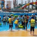 중앙초등학교2 이미지