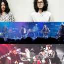 표선백사로 이미지