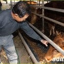 재건농장 이미지