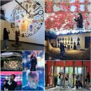 강원특별자치도 정선군 정선읍 행정복지센터 | 정선 가볼만한곳 삼탄아트마인 제 50회 2025 정선아리랑제 거리퍼레이드까지