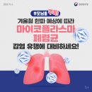 "마이코플라스마폐렴균" 감염 유행조심 이미지