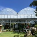 풍경화꽃식물원 이미지