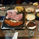 시끌시끌돼지들 이미지