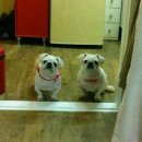 반포1동011 이미지