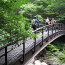 소백산 경북 영주에위치한 소백산(연화봉) 산행 풍경 [홍성 산사나이] 이미지