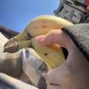 구감할머니 이미지