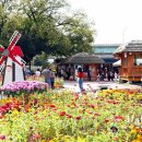 사문진대로 3 이미지