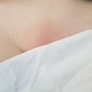 엔네일춘천지점