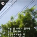 랑스토리