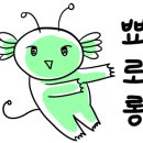광해아구해물전문점 이미지