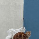 미르당 이미지