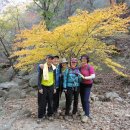 미룡초등학교 이미지