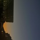 돈사돈구좌흑돼지 이미지