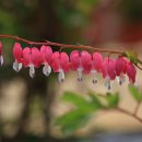 마당목장 이미지