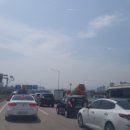 황소맛고 이미지