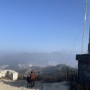 야생사슴농장 이미지