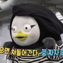 하투 Daum카페
