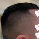 스타이용원 이미지