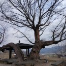 문주1리 이미지