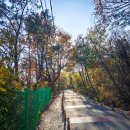 비봉산 등산로 화장실 이미지