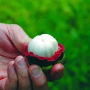 고지농장 이미지