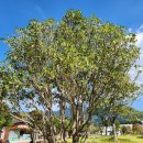 거제식물원 이미지