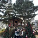 더드림농장 이미지