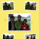 길상초교 이미지