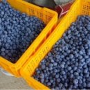 행복드림농장 이미지