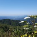 산중문답 48 덕불고(德不孤) 시조/반산 한상철