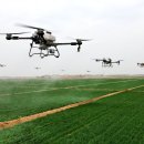 월드태양광 이미지