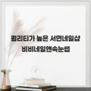 비비네일 네이버블로그