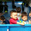 부민교회 어린이집 이미지