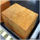 애월담아 이미지