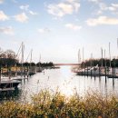 STAY PET SHOP 이미지