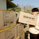 디어마이펫 이미지