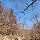 광덕사 | 100대 명산 광덕산 최단 코스 왕복 등산 후기 (광덕사 원점회귀)