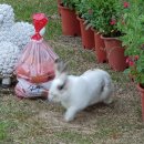 재한농장 이미지