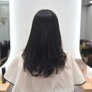 소보헤어 - 포항시 북구 | 포항 양덕 미용실 소보 헤어 추천ㅣ여자 머리 잘하는 곳 레이어드 컷 후기